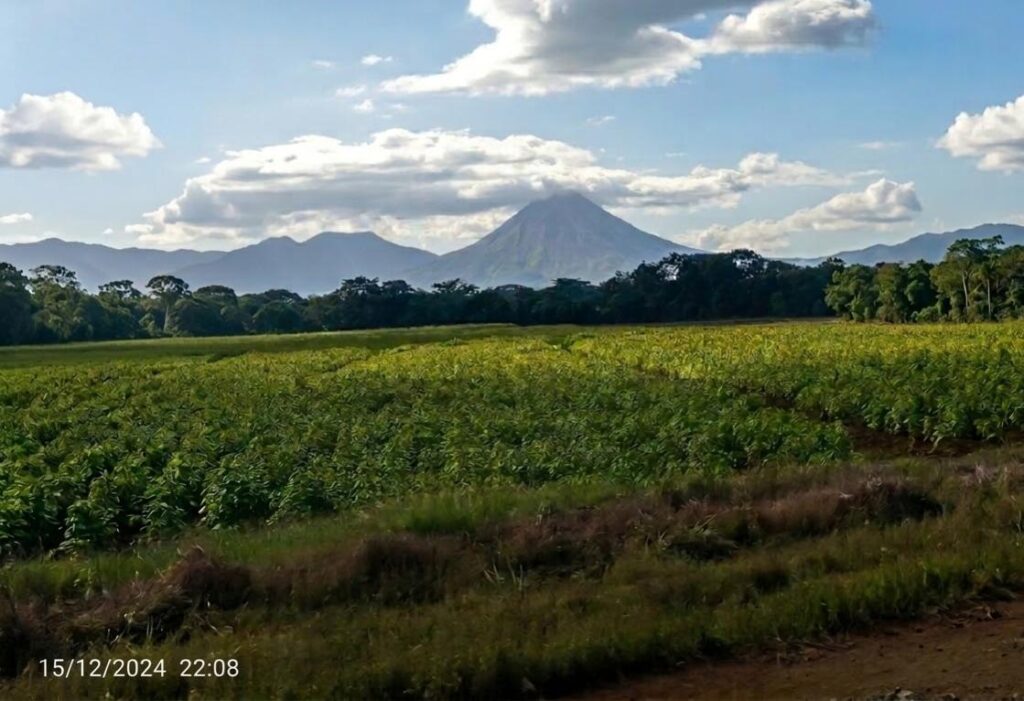 Paesaggio di vulcani. Arenal tra campi verdi e fitte foreste, esempio di natura selvaggia e ricca biodiversità in Costa Rica.