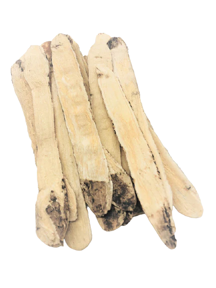 Radice di Astragalo, ed utilizzo nella medicina tradizionale cinese