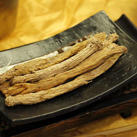 Codonopsis pilosula, pianta usata nella fitoterapia cinese per la donna