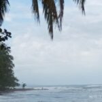 Oceano Atlantico con a sinistra la giungla.