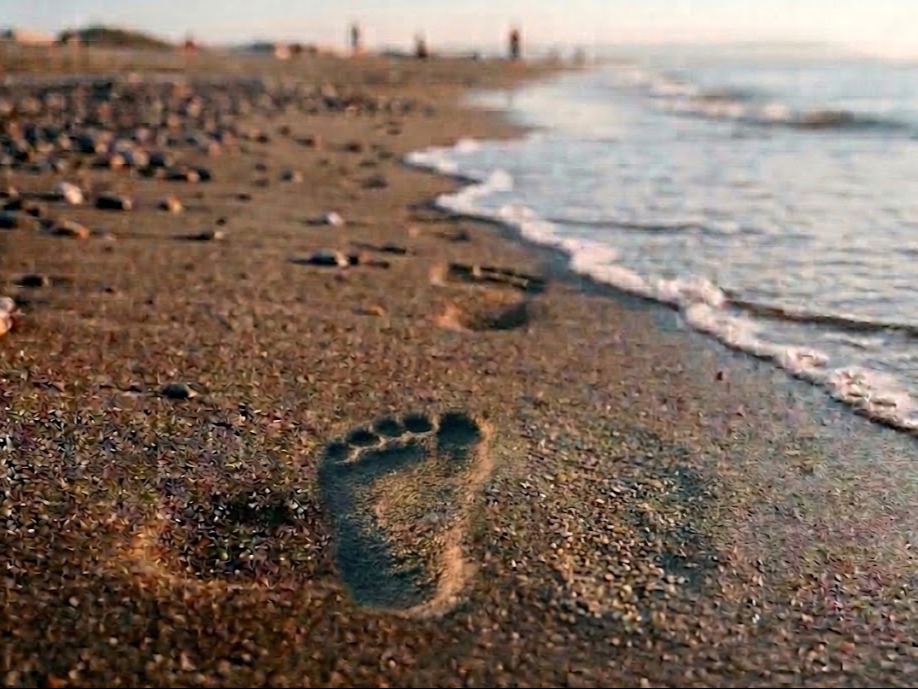 Legami di benessere e consapevolezza: dove l'anima fiorisce. Un'impronta sulla sabbia bagnata vicino al mare al tramonto, simbolo di un percorso interiore. Un invito a rallentare, osservare e vivere il presente, trasformando la conoscenza in esperienza.